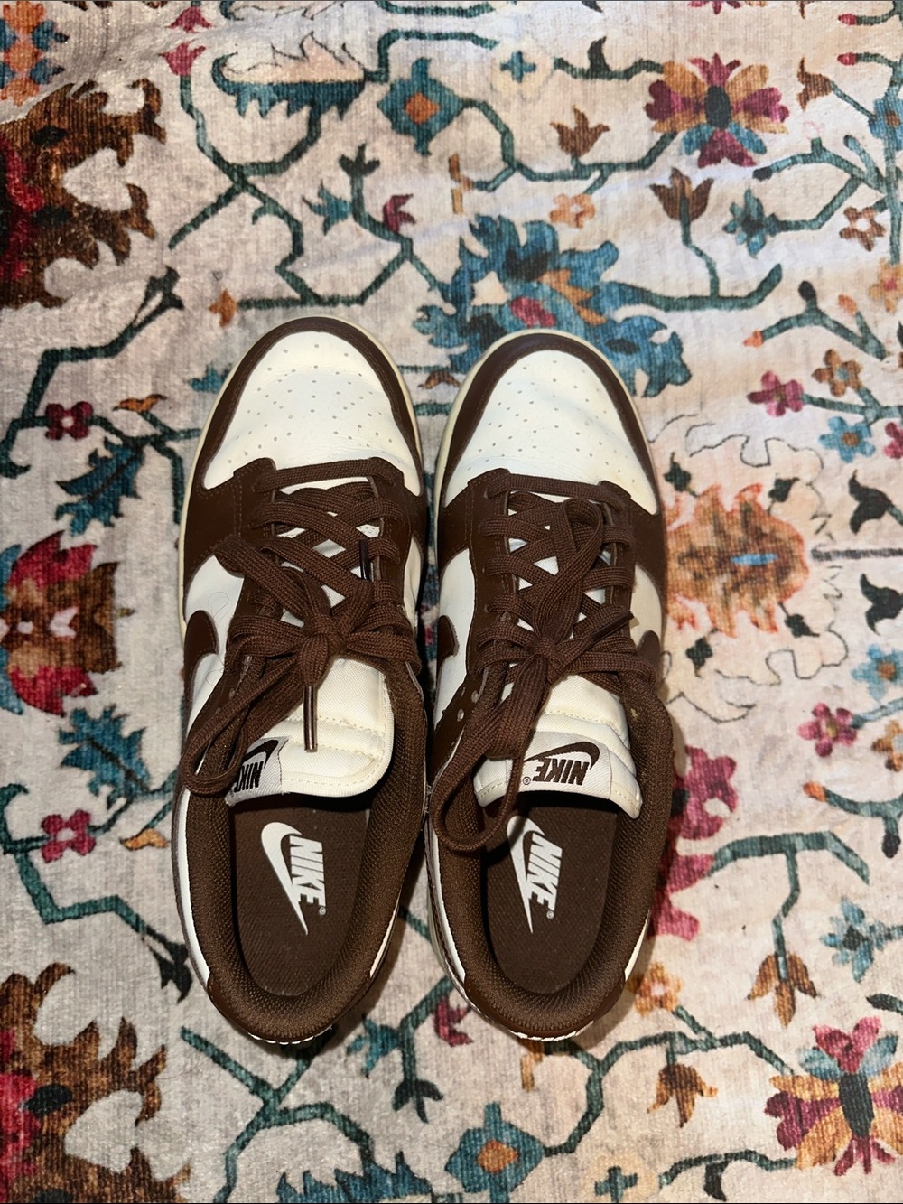 Nike Dunks Chocolate Brown and White Low-Top Sneakers